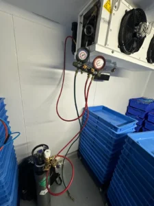 Frostberg engineer diagnosing cold room refrigerant system with manifold gauges in London
