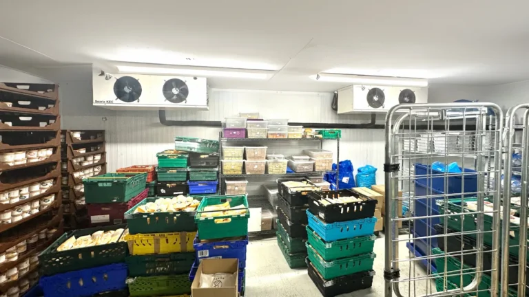 Inside a commercial freezer room